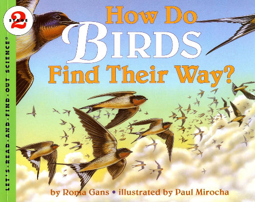 How Do Birds Find Their Way?