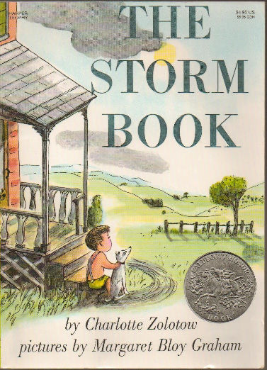 The Storm Book
