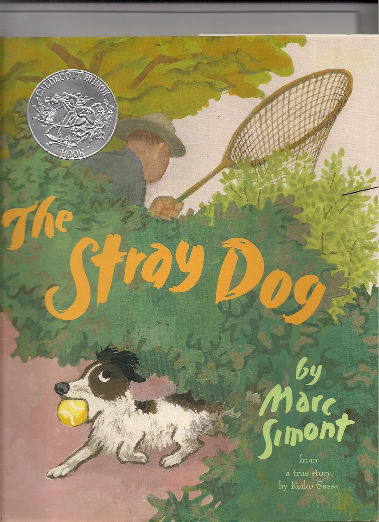 The Stray Dog